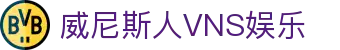 威尼斯人VNS娱乐|澳門威尼斯人VNS官网_威尼斯人电竞官网下载集团网址官网app下载欢迎您